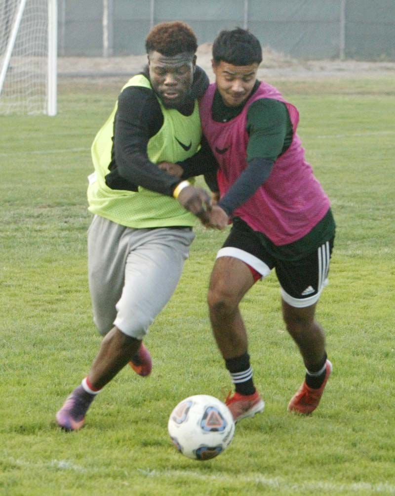 Napa Valley College men's soccer